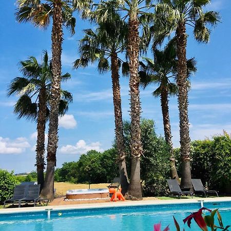Saint-Drezery La Villa Mediterranee Wellness Spa Piscine المظهر الخارجي الصورة