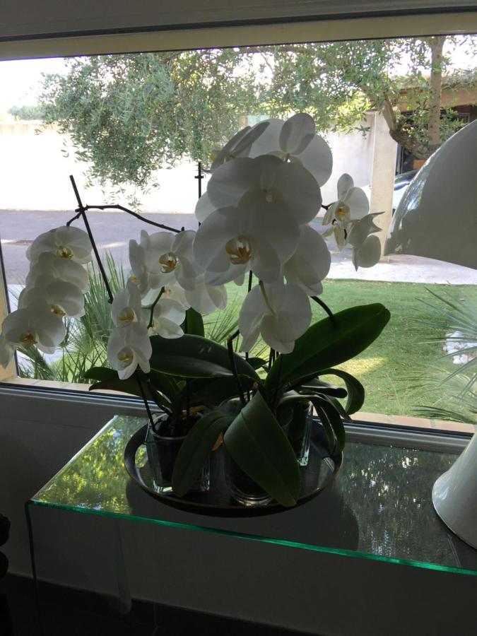 Saint-Drezery La Villa Mediterranee Wellness Spa Piscine المظهر الخارجي الصورة