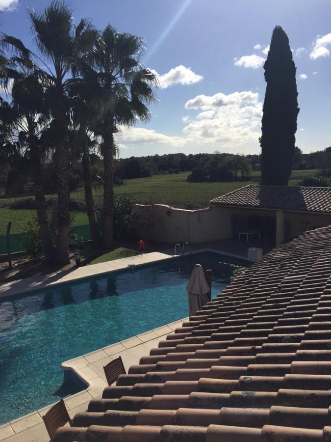 Saint-Drezery La Villa Mediterranee Wellness Spa Piscine المظهر الخارجي الصورة